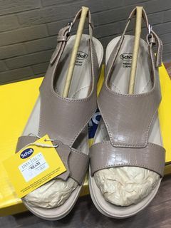 Scholl