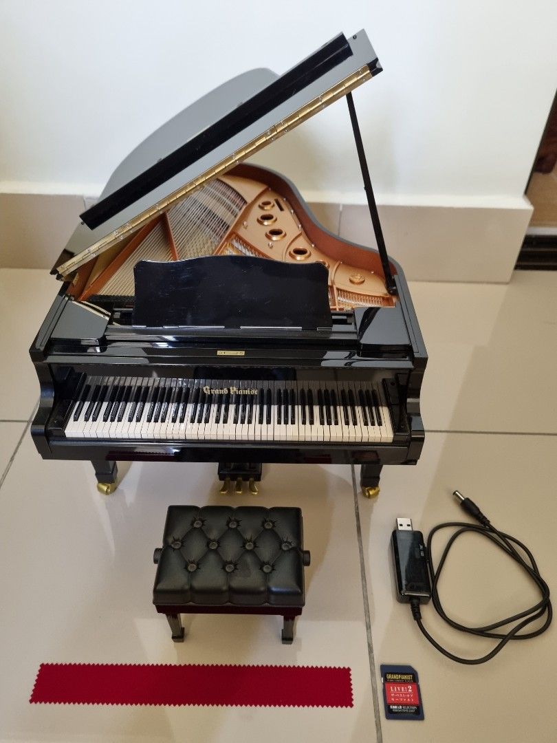SALE Sega grand pianist. Self playing piano. 1 6 scale. Rare