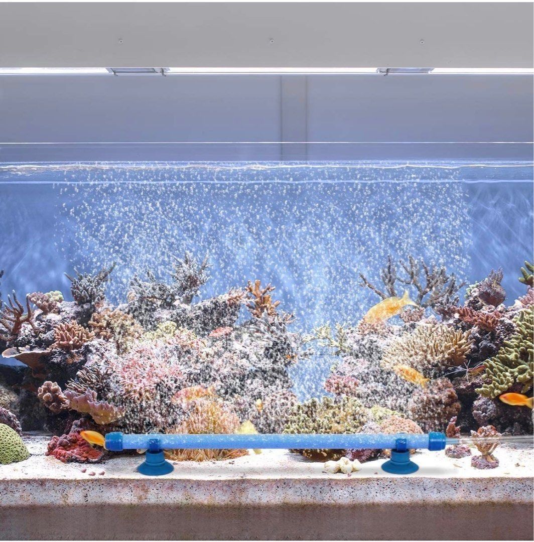 Make A Much More Dramatic Effect In A Fish Tank - hygger