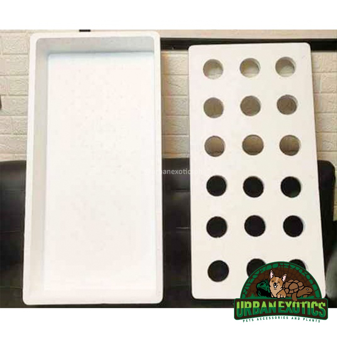 Styro Foam Tuna Box for Hydroponics on Carousell