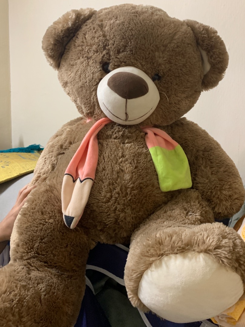 TEDDY BEAR COMEL SIZE BUDAK 60cm Hobbies Toys Toys Games
