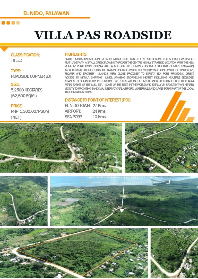 Villa Paz, El Nido , Palawan, Property, For Sale, Lot on Carousell