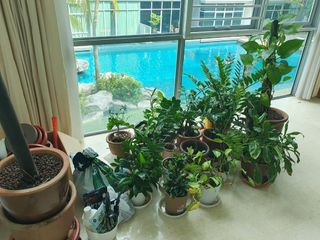 (Category: ) located in . Submitted by laurentb (Listing ID 1236674786, Image 1). Description: .
