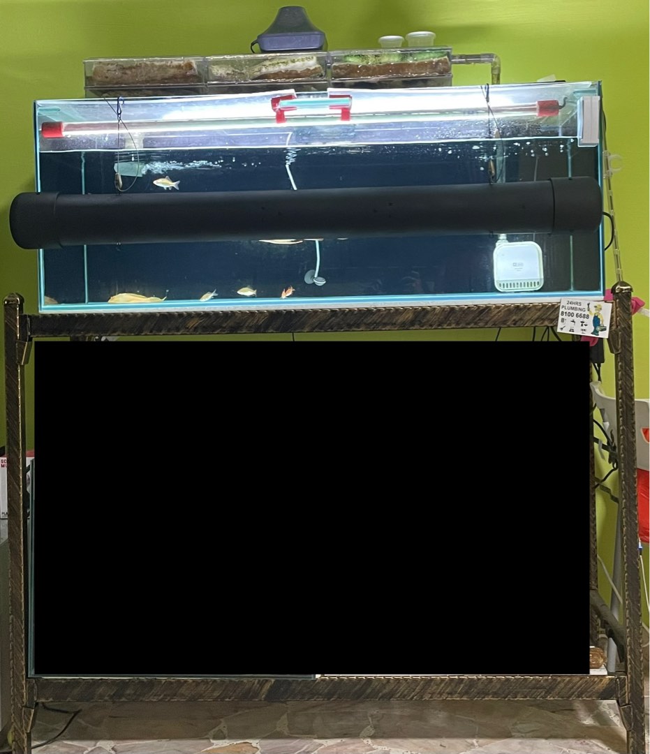 4ft fish tank with stand, Pet Supplies, Homes & Other Pet Accessories