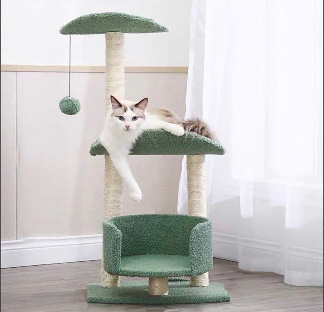 Simple deals cat condo