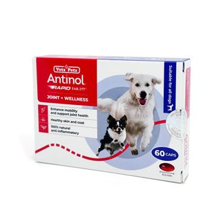 （分類：）位於 。 由 freshapets 提交（商品編號 1236628015，圖片 1）。簡介： 。