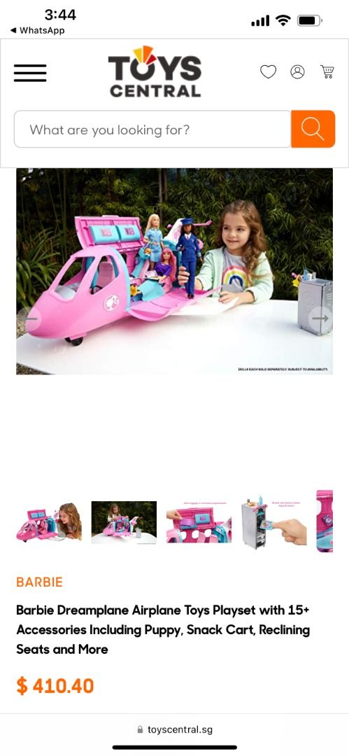 Barbie Dreamplane, Hobbies & Toys, Toys & Games on Carousell