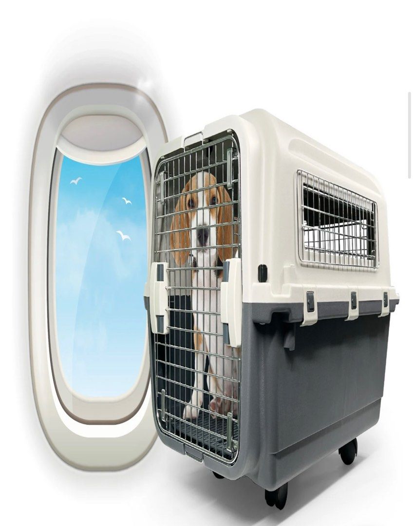 IATA Approved Pet Crate for Travel, Pet Supplies, Homes & Other Pet Accessories on Carousell