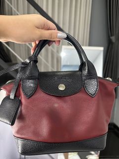 Longchamp Bag Mini