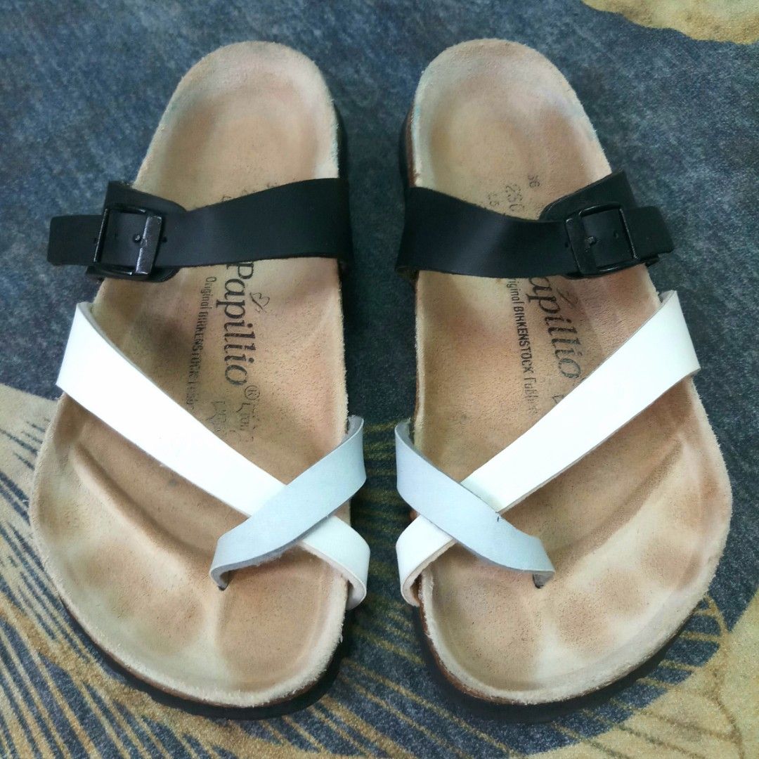 Papillio mayari best sale