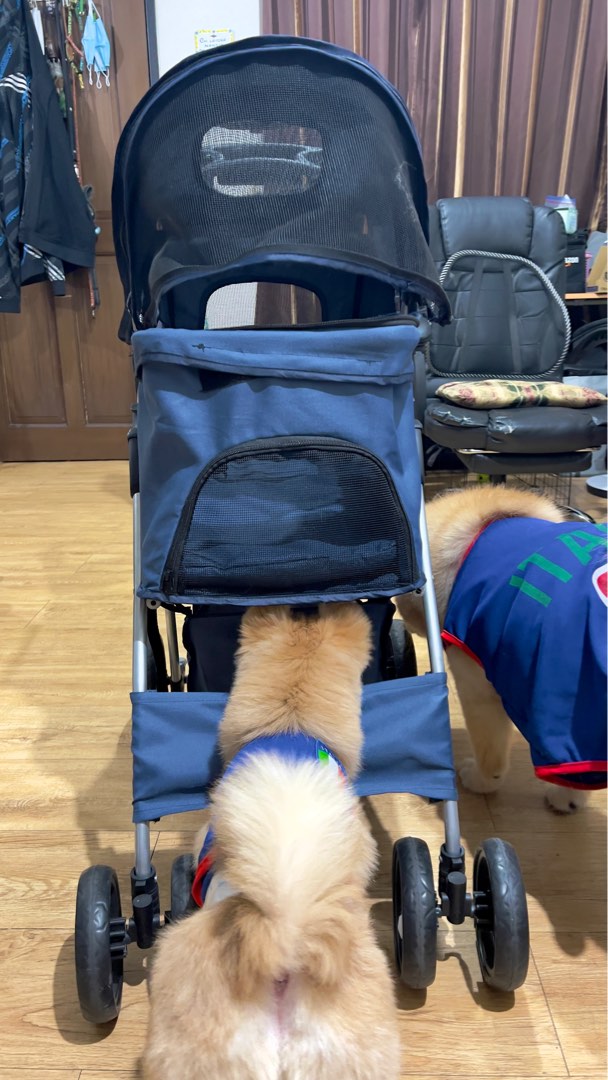 pet-stroller-on-carousell