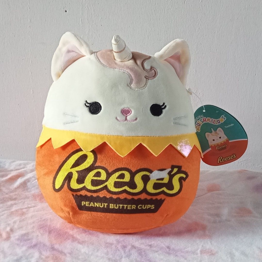 https://media.karousell.com/media/photos/products/2023/6/10/reese_cat_8_squishmallows_1686384742_6f9fcca0_progressive.jpg