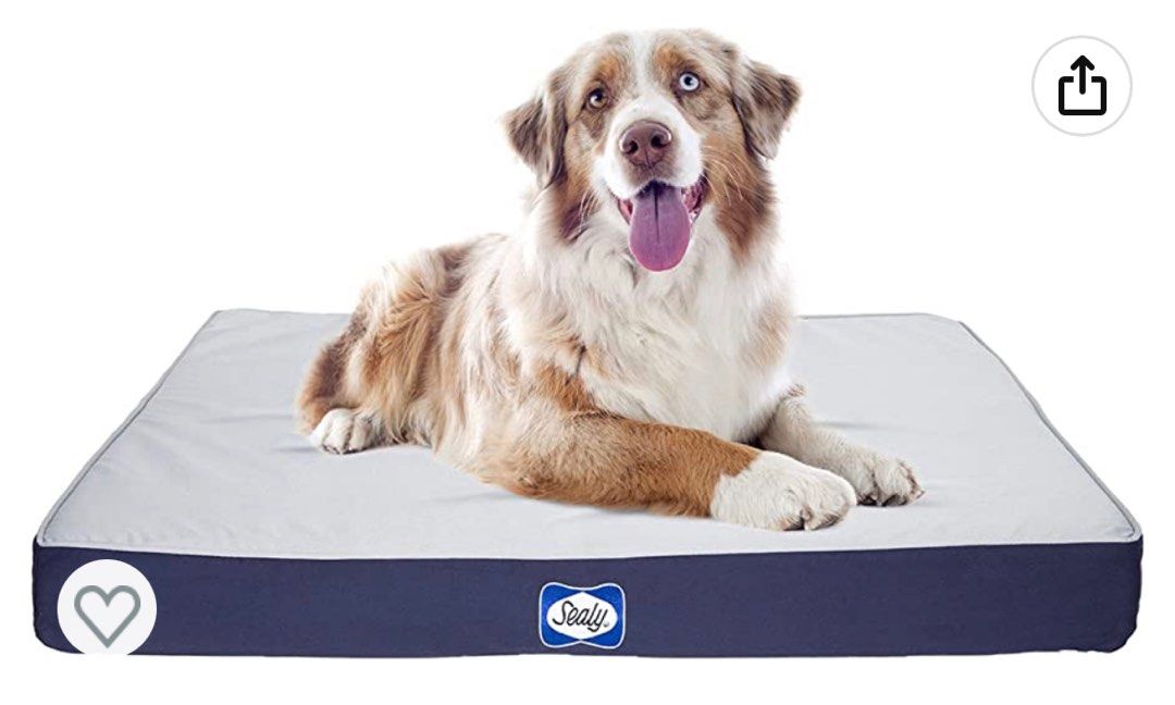 Sealy top dog mattress