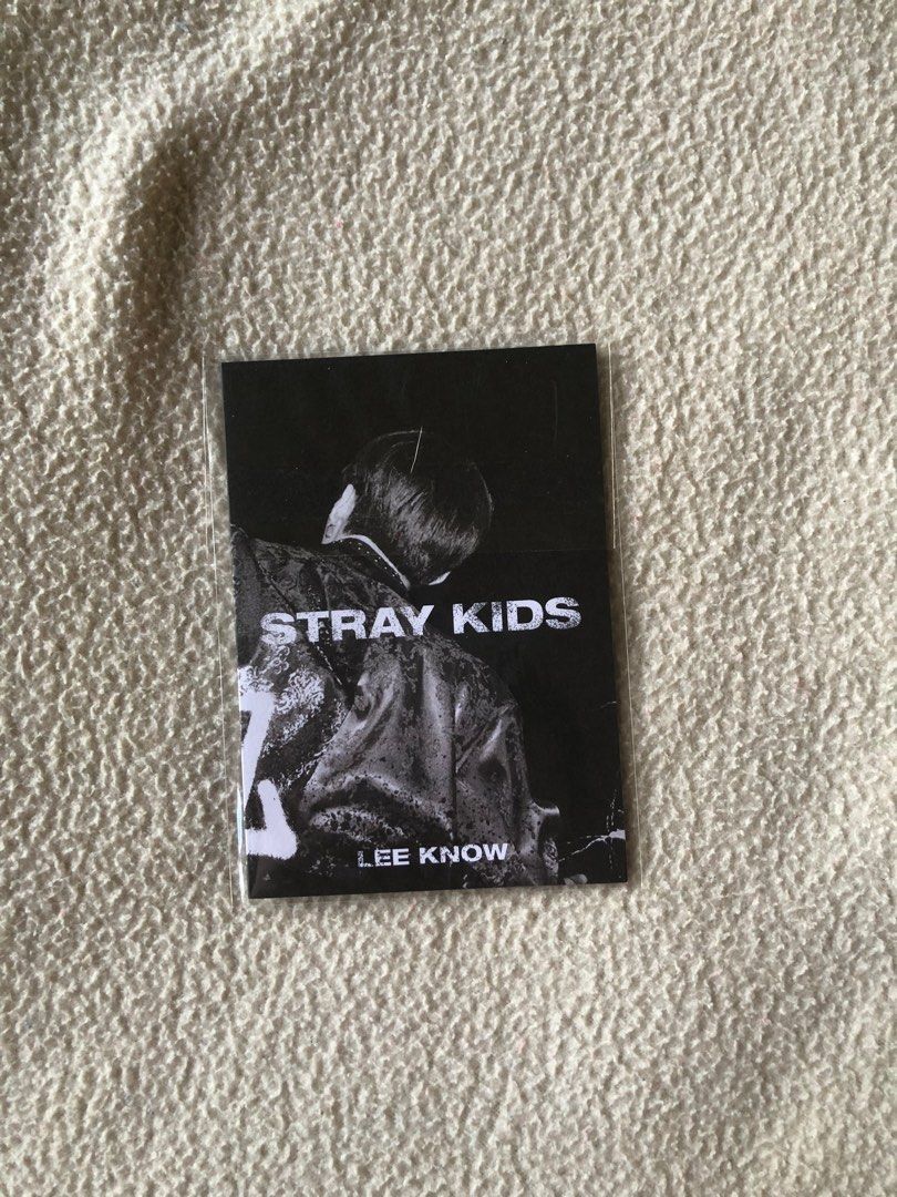 STRAY KIDS IN LIFE Album PRELOVED/full set on Carousell