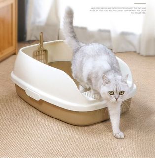(Category: ) located in . Submitted by catwarehouse (Listing ID 1236866743, Image 1). Description: .