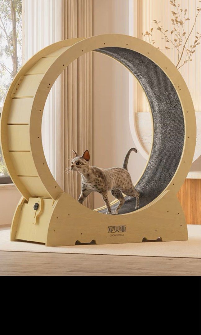 Cat dog running wheel 4 8kg