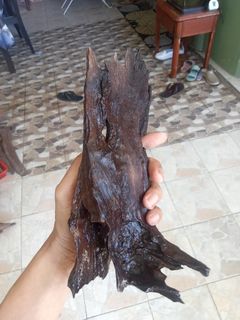 (Category: ) located in . Submitted by fazzfiza (Listing ID 1228888384, Image 1). Description: .