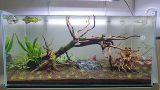 (Category: ) located in . Submitted by javishojx (Listing ID 1236962352, Image 1). Description: .