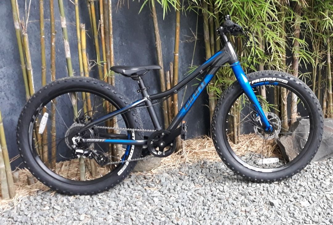 Giant xtc jr 24 online weight