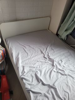 （分類：）位於 。 由 zanonia_cat 提交（商品編號 1236797364，圖片 1）。簡介： 。