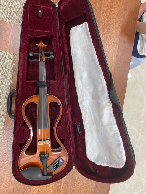 Hofner store electric violin