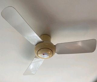 (Category: ) located in . Submitted by comew2 (Listing ID 1236915633, Image 1). Description: .