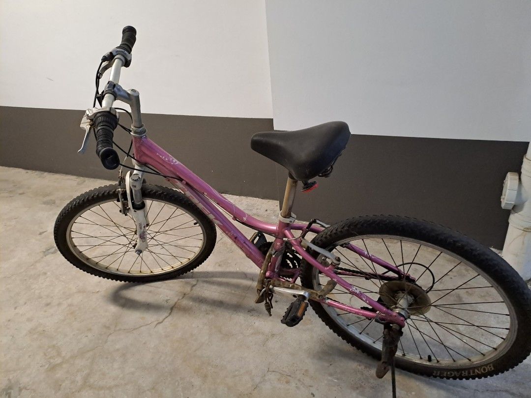Trek bike cheap 24 inch girl