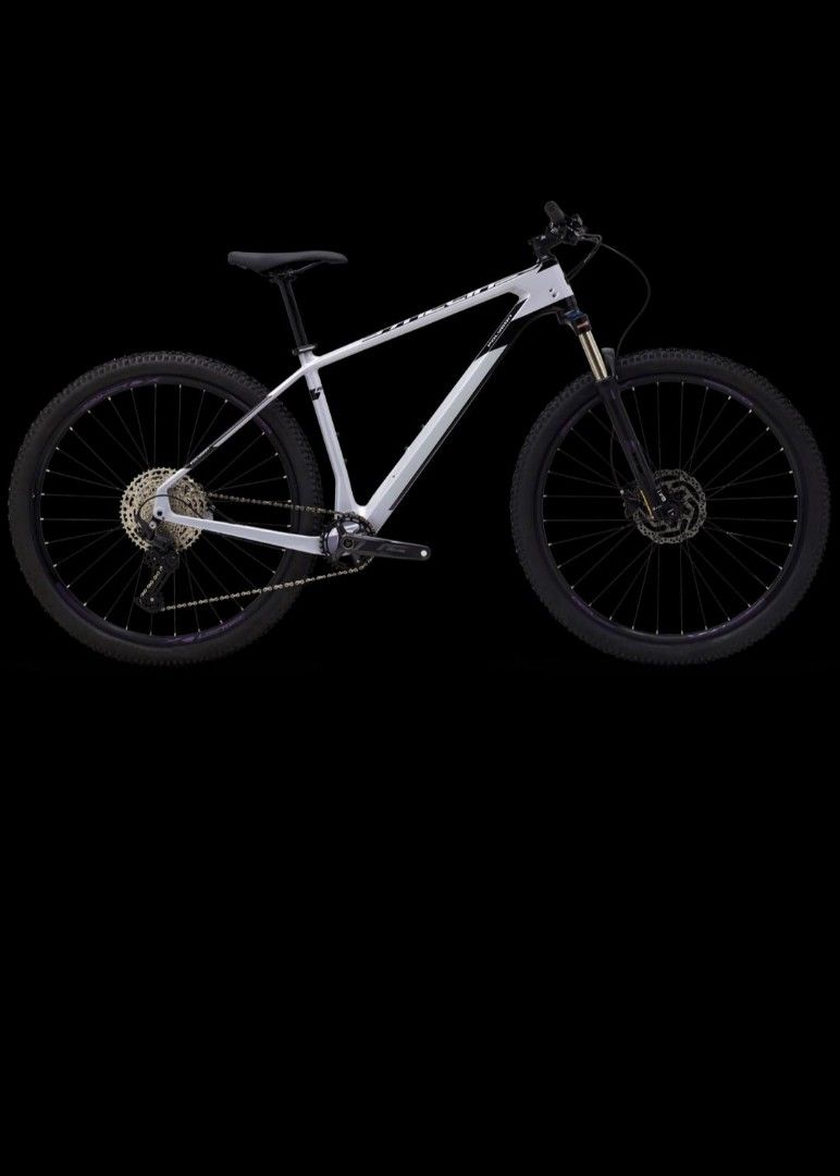 Polygon carbon mtb 2025