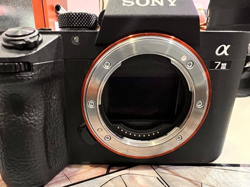 sony a7iii shutter count life
