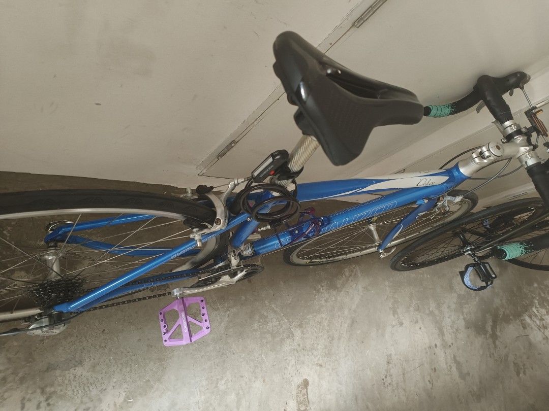 specialized dolce 51cm