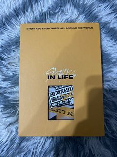 stray kids in life unsealed album