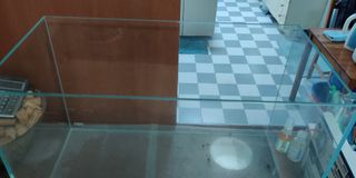 (Category: ) located in . Submitted by joniedil (Listing ID 1236913639, Image 1). Description: .
