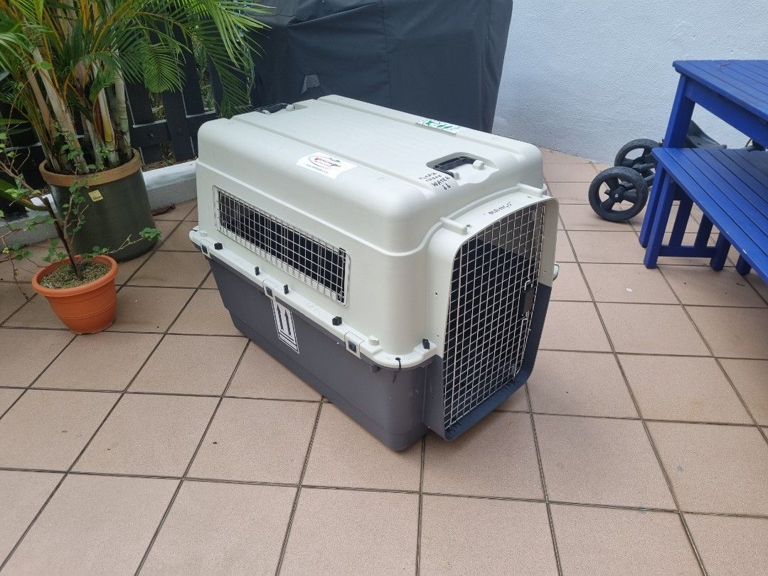 Airline pet crate, Pet Supplies, Homes & Other Pet Accessories on Carousell
