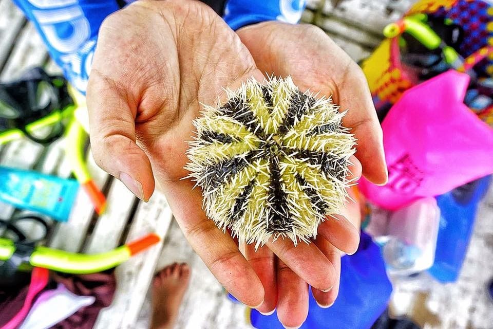 Sony A6000 Emount camera with APSC Sensor with Complete Box and Kit