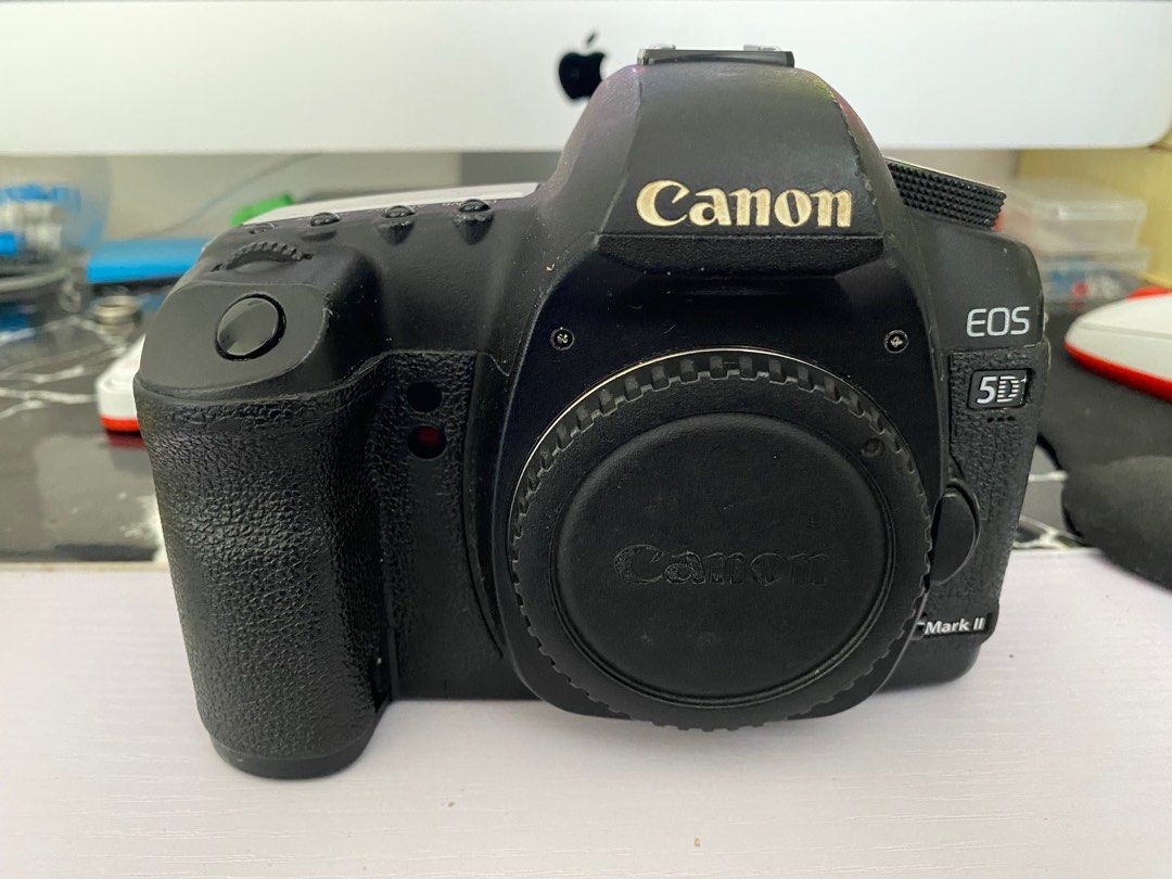 Canon 5d markII ボディ 本体 5dm2 - デジタルカメラ