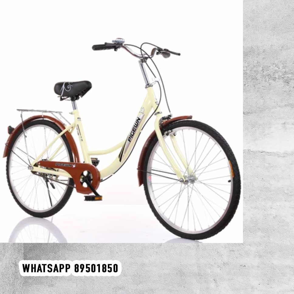 Lady bird store cycle 24 inch
