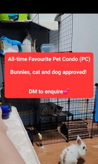 (Category: ) located in . Submitted by teamdify (Listing ID 1237008199, Image 1). Description: .