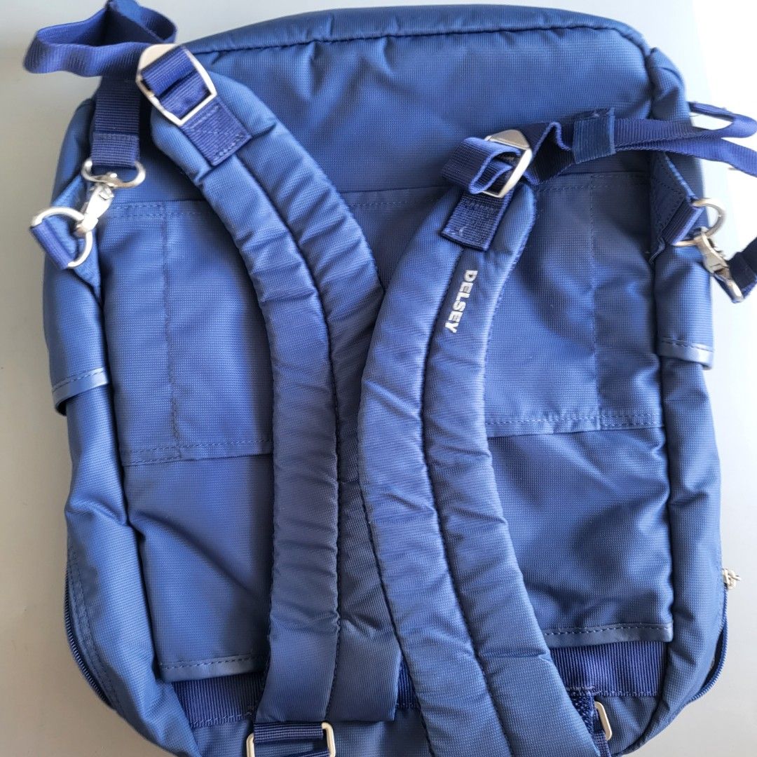 Delsey legere deals backpack