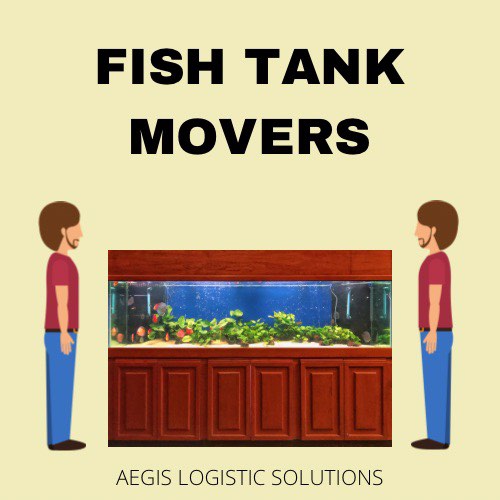 Fish Tank Moving, Pet Supplies, Homes & Other Pet Accessories on Carousell