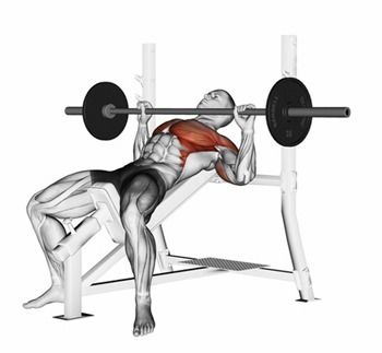 Upper chest incline bench sales