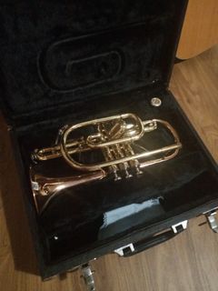 Japanese yamazuki bb cornet