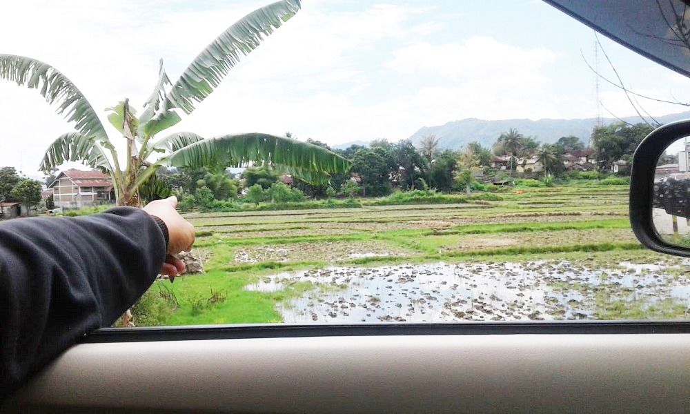 jual_tanah_sawah_di_balige_tob_1686555261_3104cf11_progressive