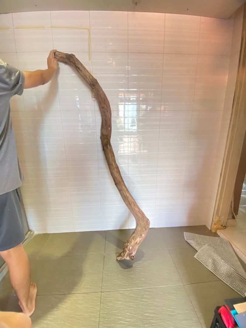 Large driftwood / bird perch, Pet Supplies, Homes & Other Pet