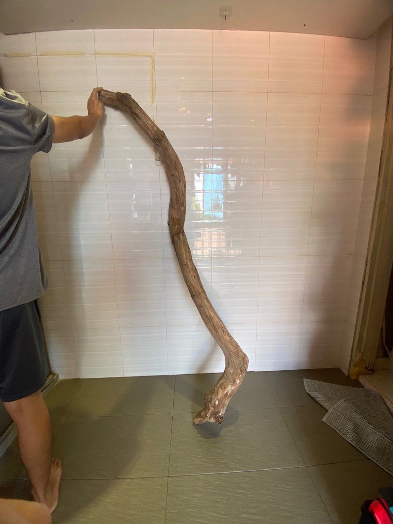 Large driftwood / bird perch, Pet Supplies, Homes & Other Pet