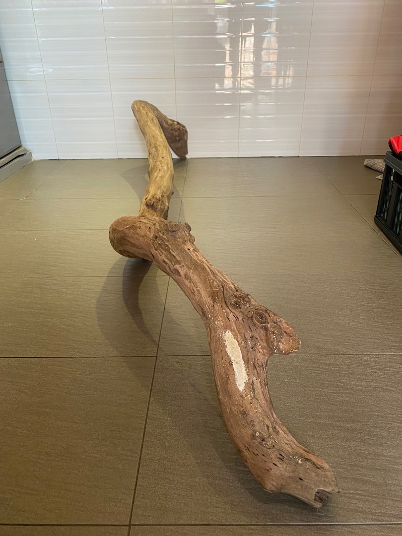 Large driftwood / bird perch, Pet Supplies, Homes & Other Pet Accessories on Carousell