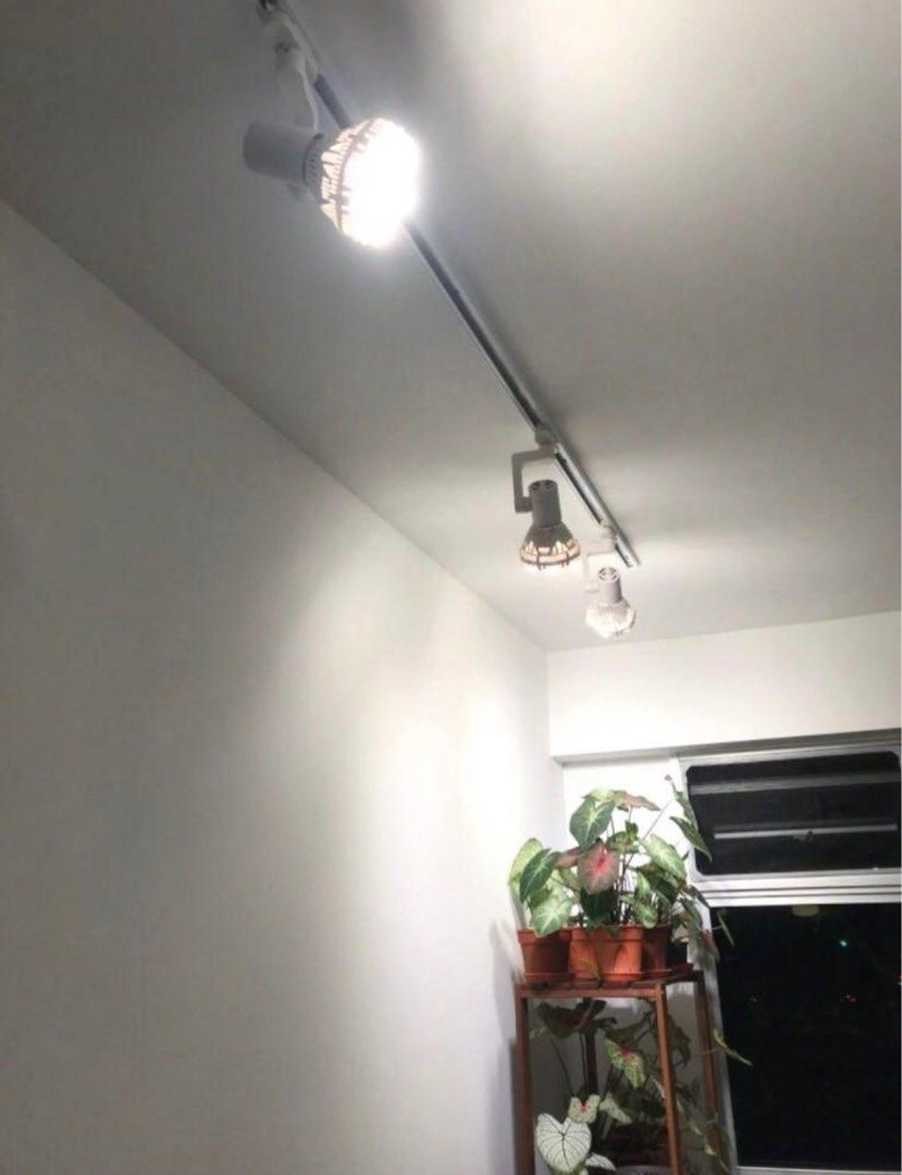 Sansi 36W LED Full Spectrum Grow Light, Furniture & Home Living