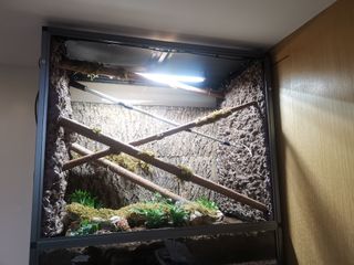 （分類：）位於 。 由 vincentkrauser 提交（商品編號 1237116243，圖片 1）。簡介： 。