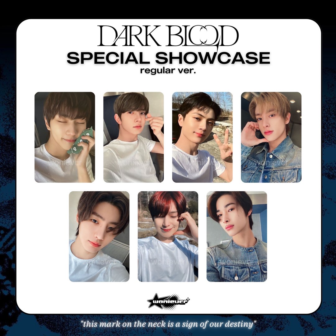 [WTS] Enhypen Dark Blood Regular Showcase Photocard