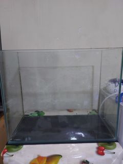 （分類：）位於 。 由 ggantz 提交（商品編號 1237243237，圖片 1）。簡介： 。