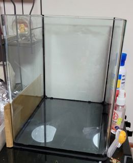 （分類：）位於 。 由 onlinelater 提交（商品編號 1237185402，圖片 1）。簡介： 。